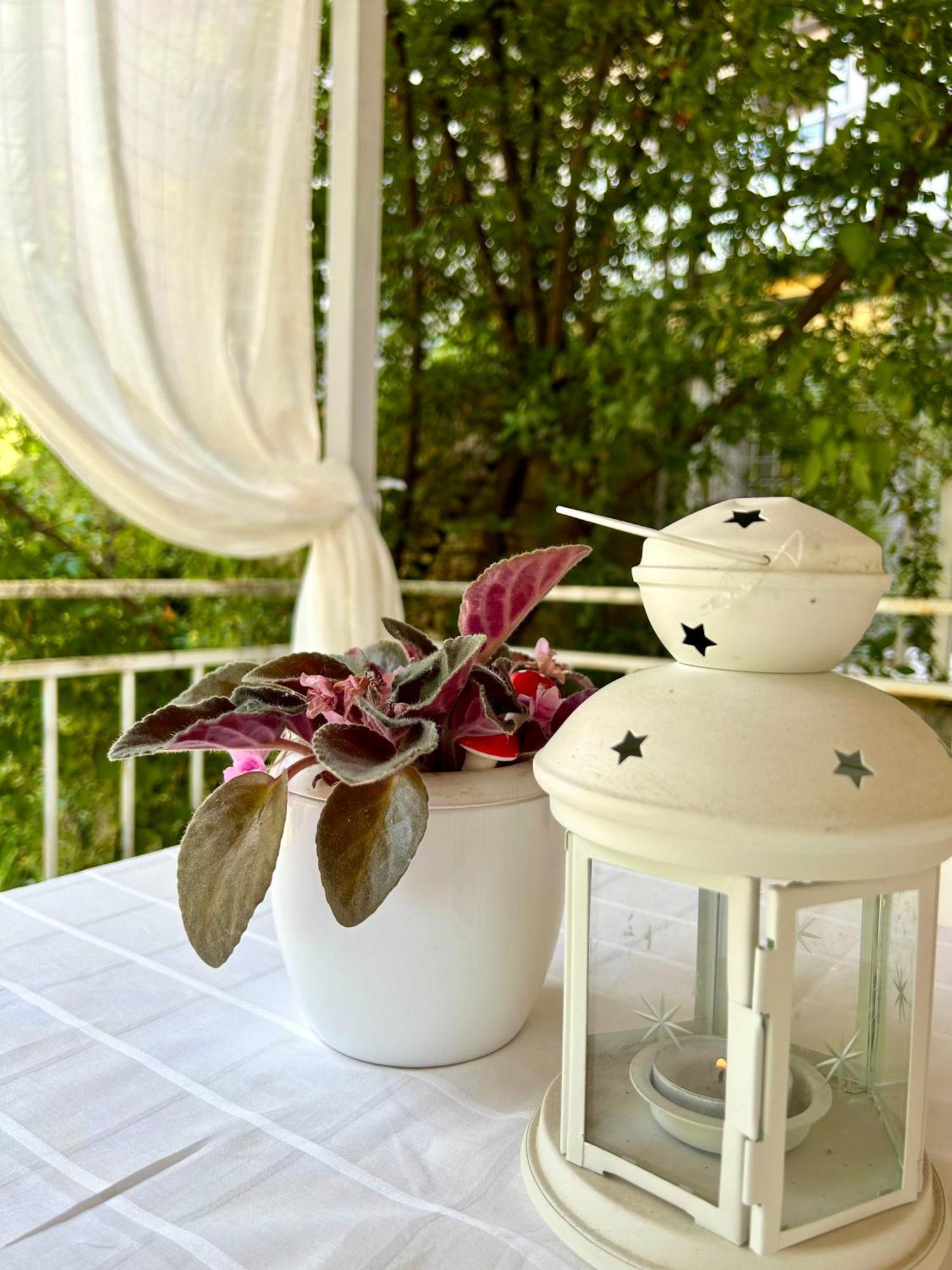 Villa Chingo Ohrid Extérieur photo